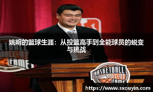快盈VIII