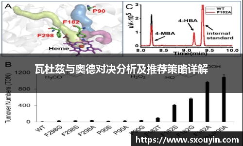 瓦杜兹与奥德对决分析及推荐策略详解